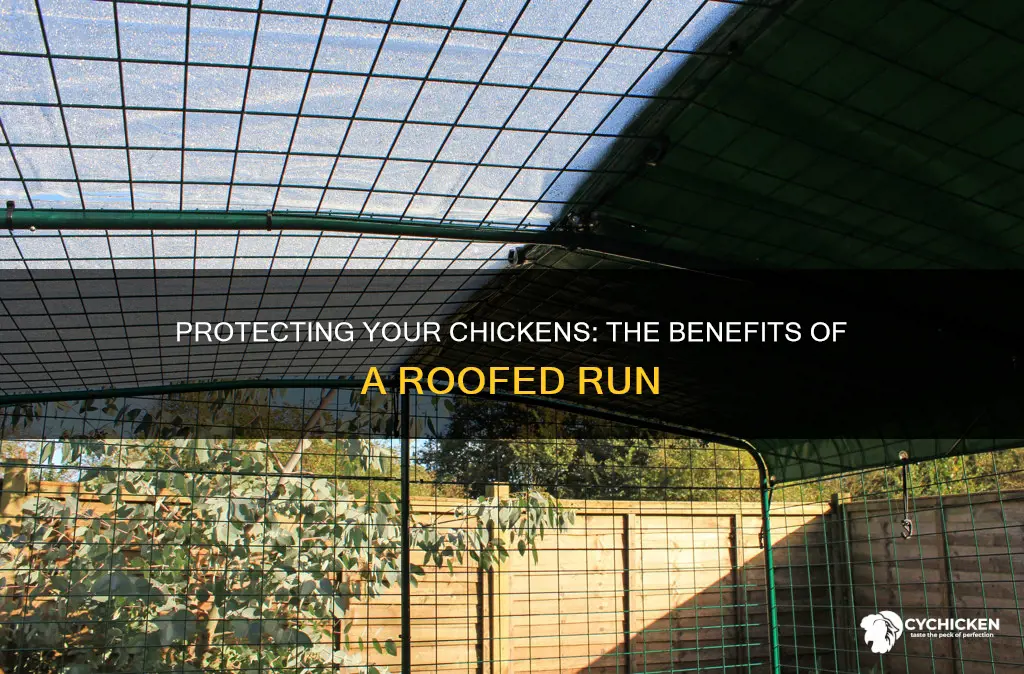 should i put a roof on my chicken run