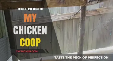 Cooling Considerations: To AC or Not to AC Your Chicken Coop?