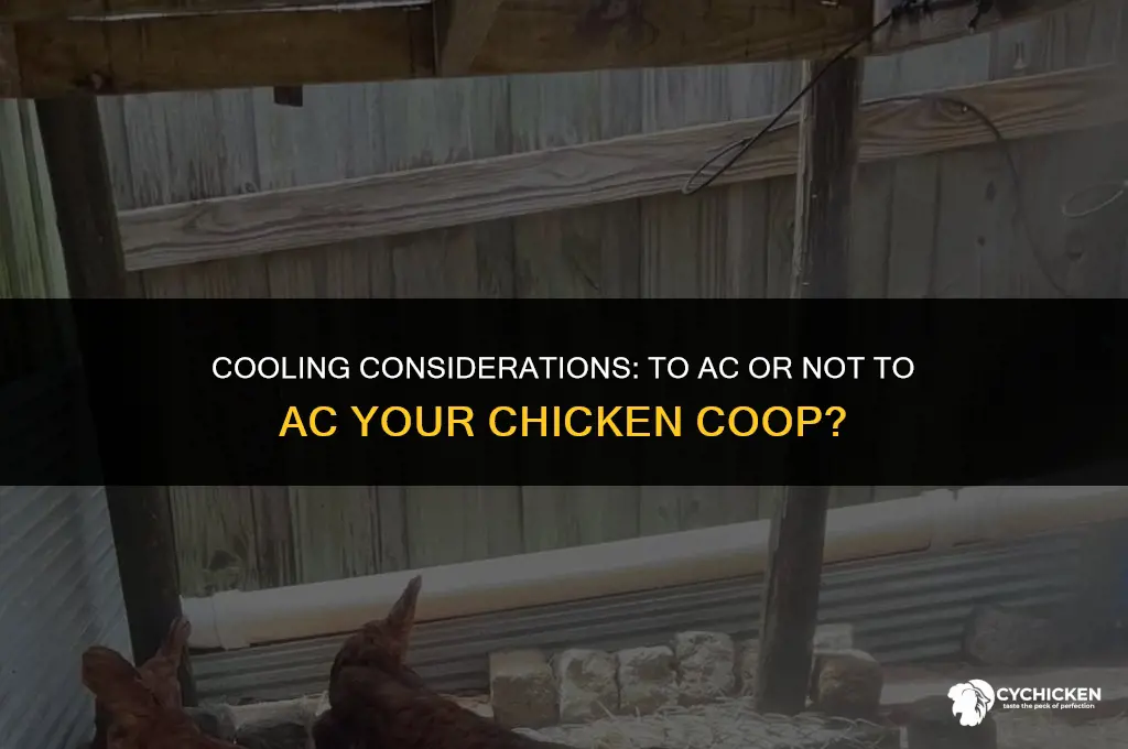 should i put an ac on my chicken coop