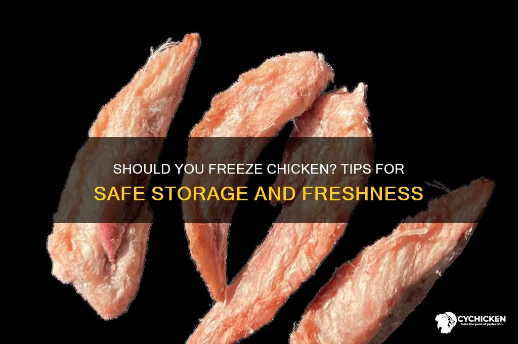 should i put chicken in the freezer