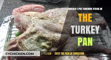 How to Make the Perfect Turkey with Chicken Stock