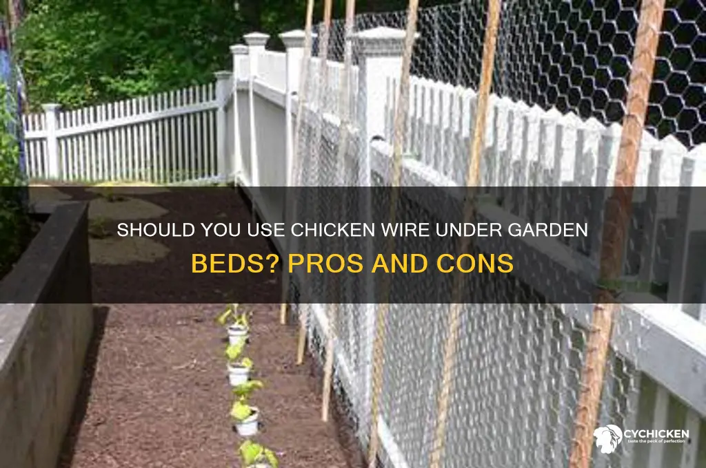 should i put chicken wire under garden bed