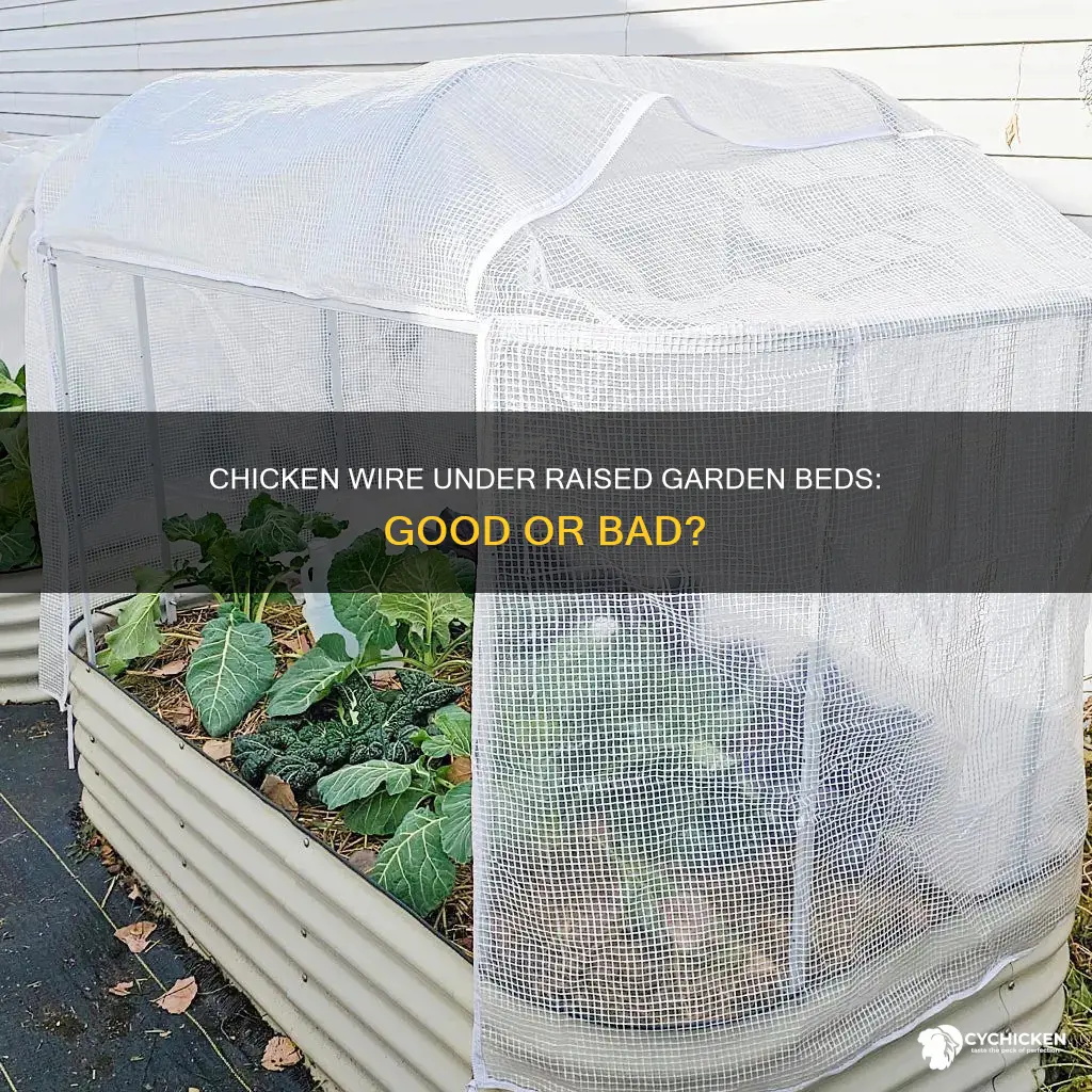 should i put chicken wire under my raised garden bed
