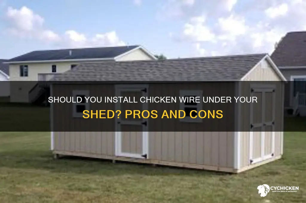 should i put chicken wire under shed