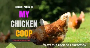 Debunking Myths: The Truth About Diatomaceous Earth in Chicken Coops