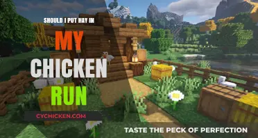 Hay in Chicken Runs: Benefits, Drawbacks, and Best Practices