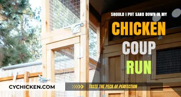 Sand in Chicken Coops: Pros and Cons