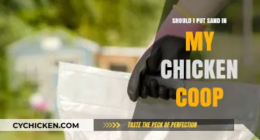 The Great Sand Debate: Pros and Cons for Your Chicken Coop