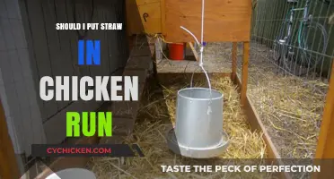 Straw in Chicken Runs: Benefits, Drawbacks, and Best Practices