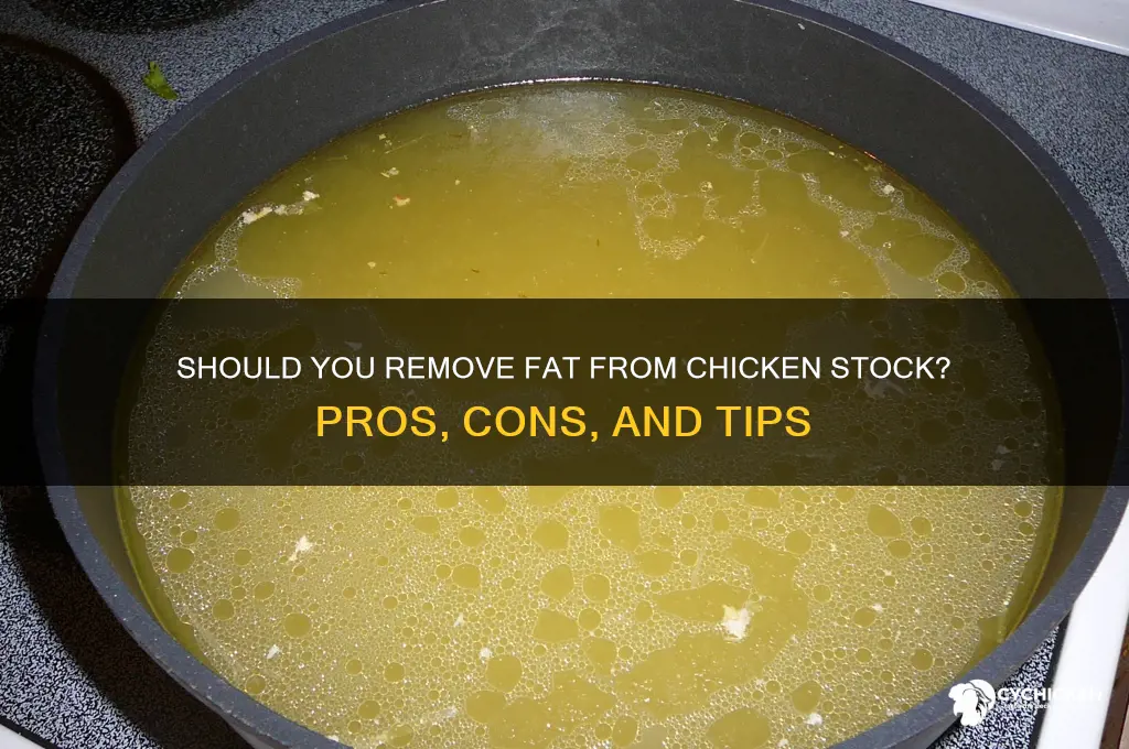 should i remove fat from chicken stock