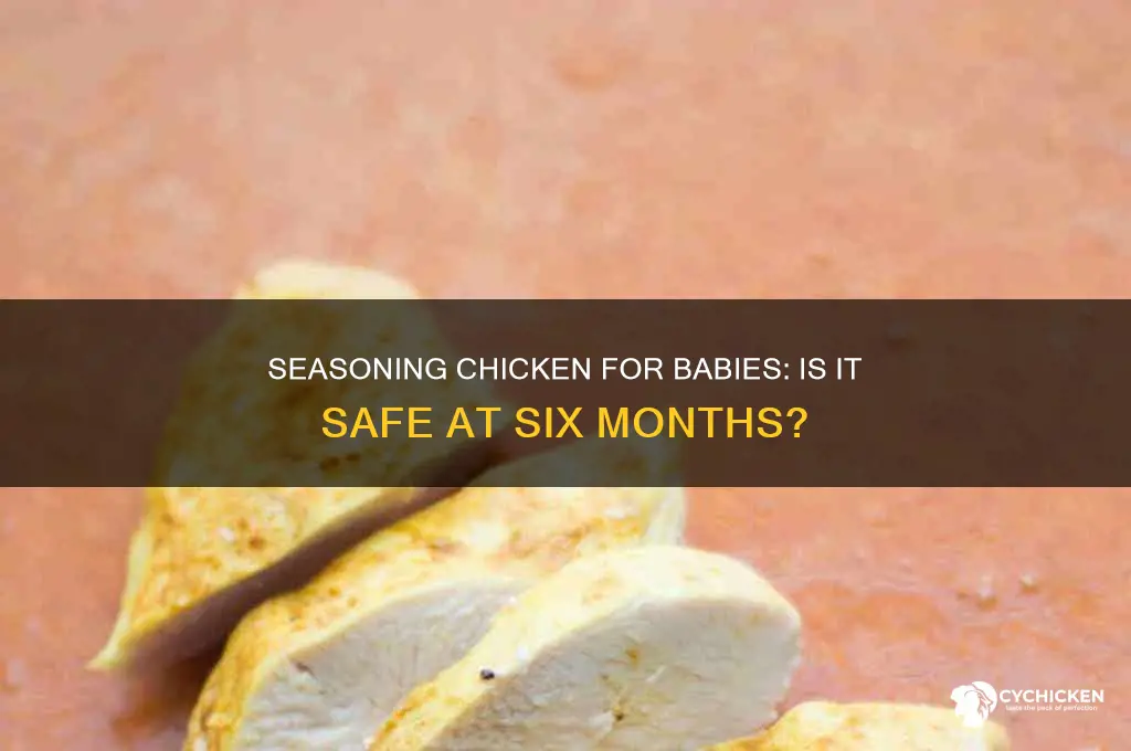 should i season my 6 month olds chicken