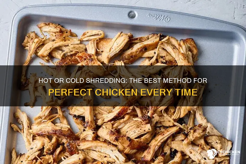 should i shred chicken hot or cold