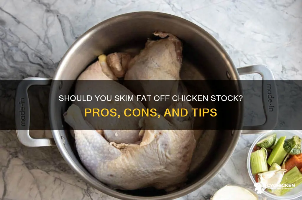 should i skim the fat off chicken stock