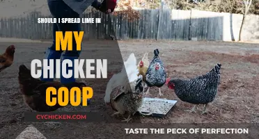 Enhancing Your Chicken Coop: The Benefits and How-To of Lime Application