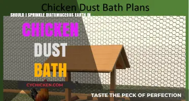Diatomaceous Earth: Chicken Dust Bath Superfood