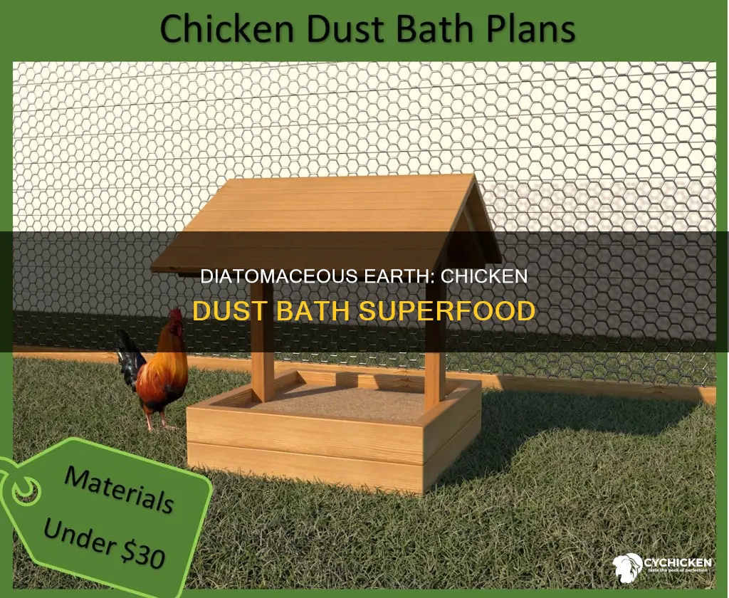 should i sprinkle diatomaceous earth in chicken dust bath