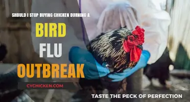 Bird Flu Outbreak: Should You Stop Buying Chicken? Expert Advice