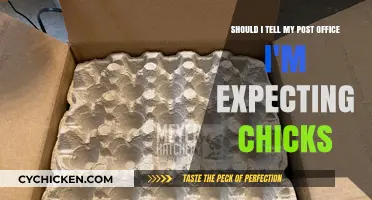 Announcing Your Chick's Arrival: Notify the Post Office?