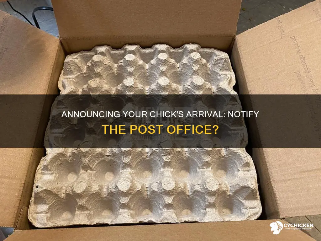 should i tell my post office i