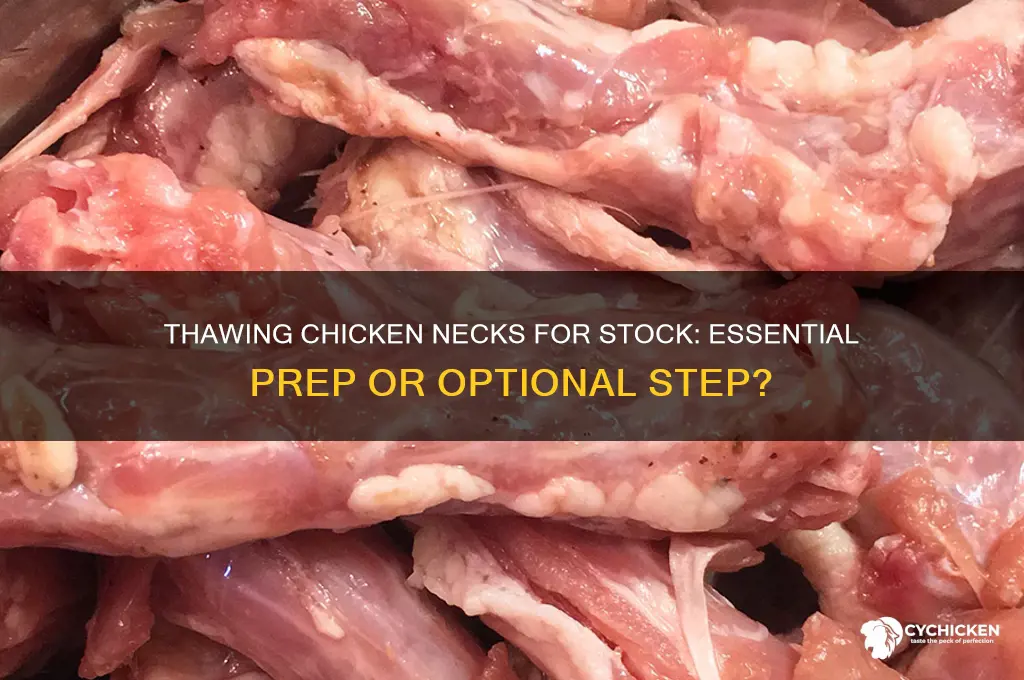 should i thaw chicken necks before making stock