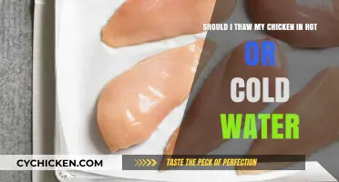Thawing Chicken: Hot or Cold Water?