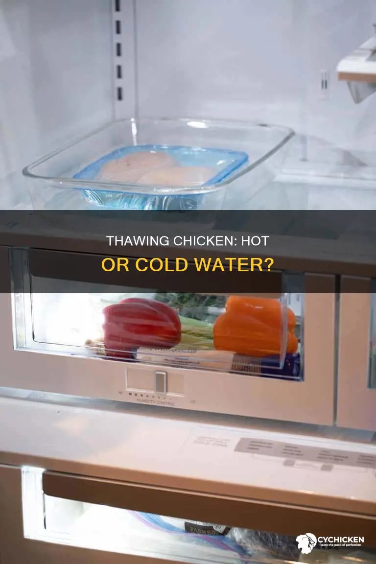 should i thaw my chicken in hot or cold water