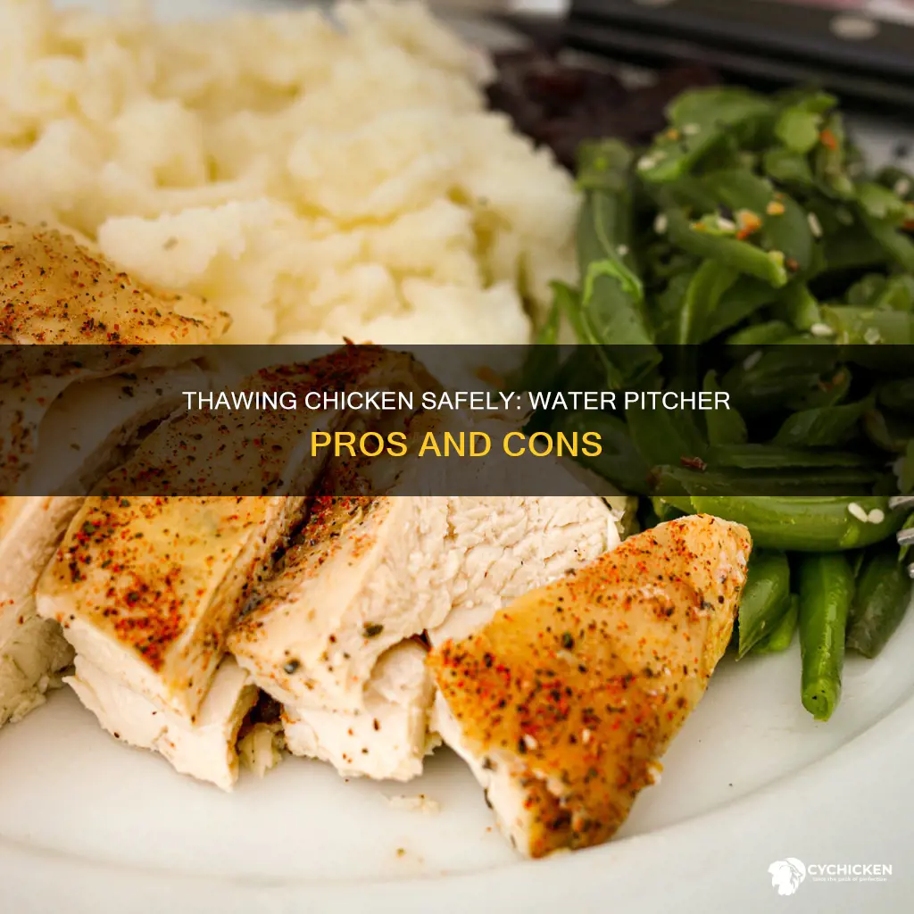 should i thaw raw chicken in a water pitcher