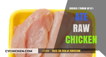 Raw Chicken Consumption: To Vomit or Not?