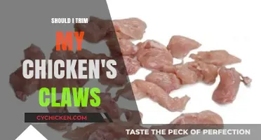 Should You Trim Your Chicken's Claws? A Care Guide