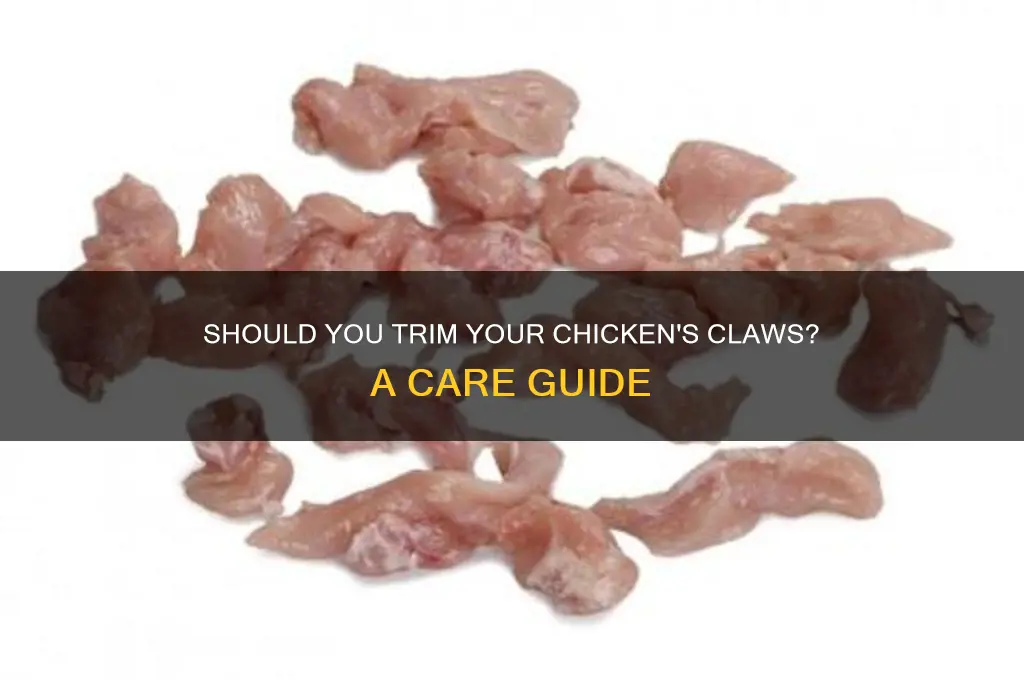 should i trim my chicken