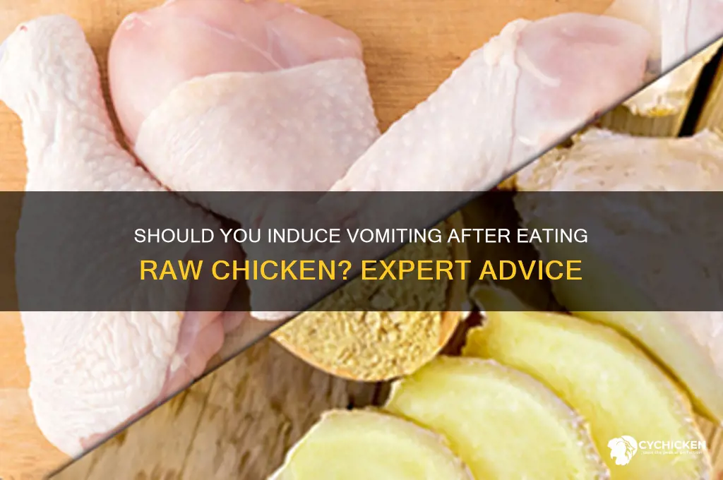 should i vomit if i ate raw chicken