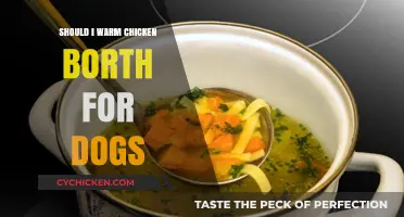 Is Warm Chicken Broth Safe and Beneficial for Your Dog?