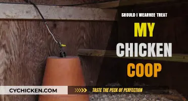 Should I Wear Heat Treat My Chicken Coop: Pros and Cons