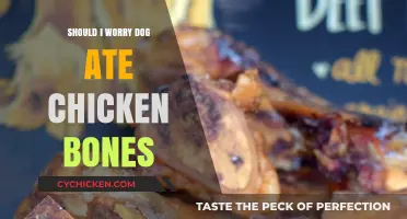 Dog Ate Chicken Bones: Should You Panic or Stay Calm?