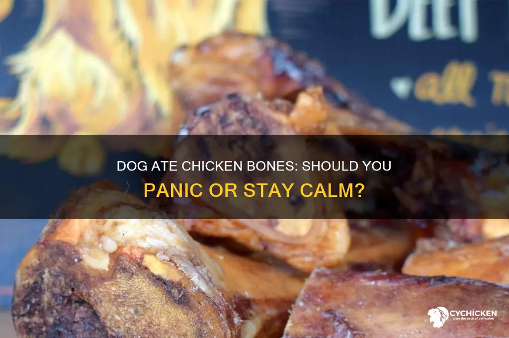 should i worry dog ate chicken bones