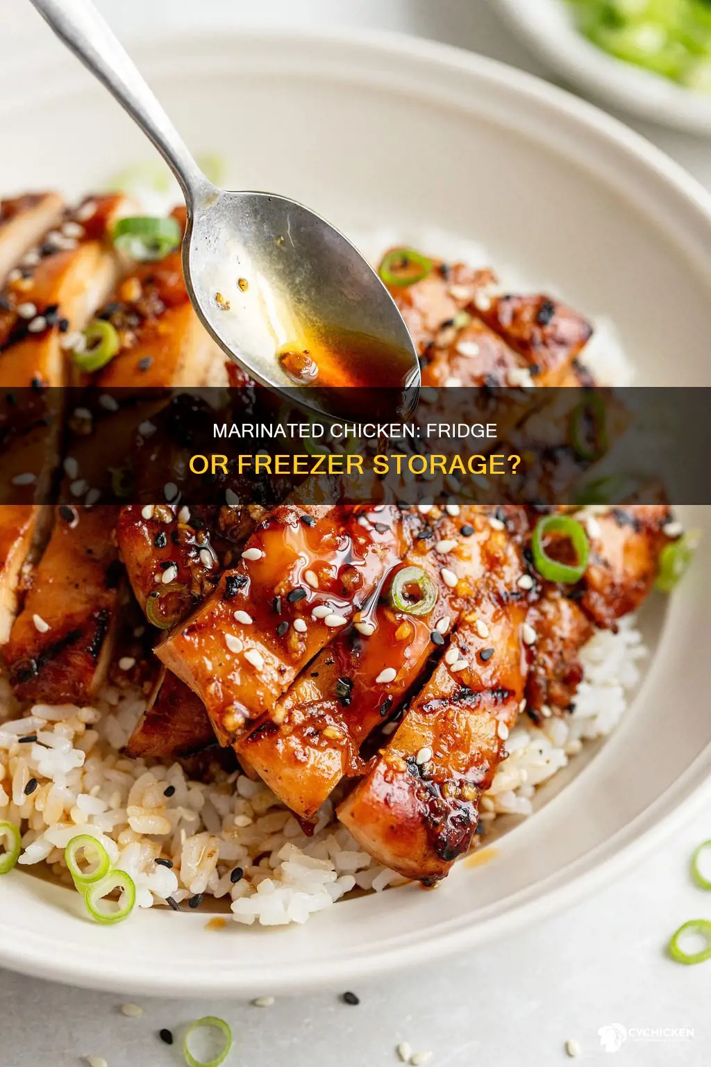 should marinated chicken be kept in fridge or freezer