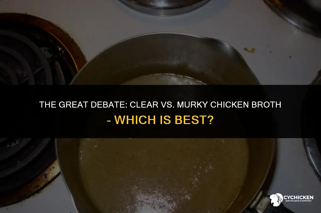 should my chicken broth be clear or murky