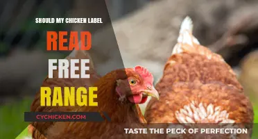 Free Range Chicken Labels: Decoding the Truth Behind the Claim