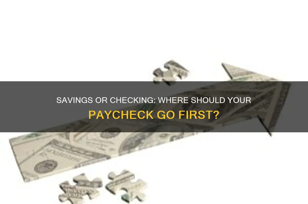 should my paycheck go in savings or chicking