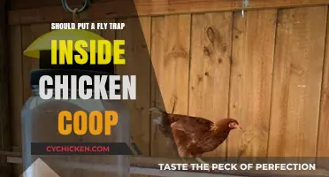 Effective Pest Control: Fly Traps in Chicken Coops - A Practical Guide