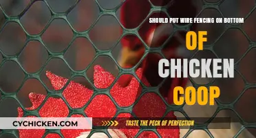 Securing Your Coop: The Debate on Wire Fencing at the Base