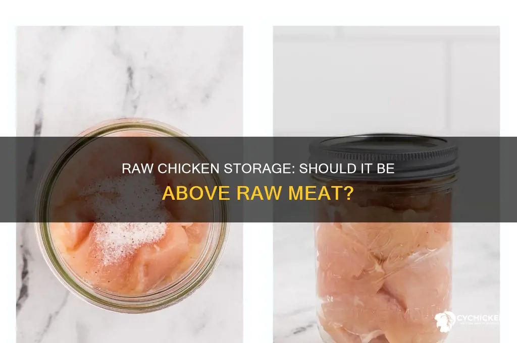 should raw chicken be stored above raw meat