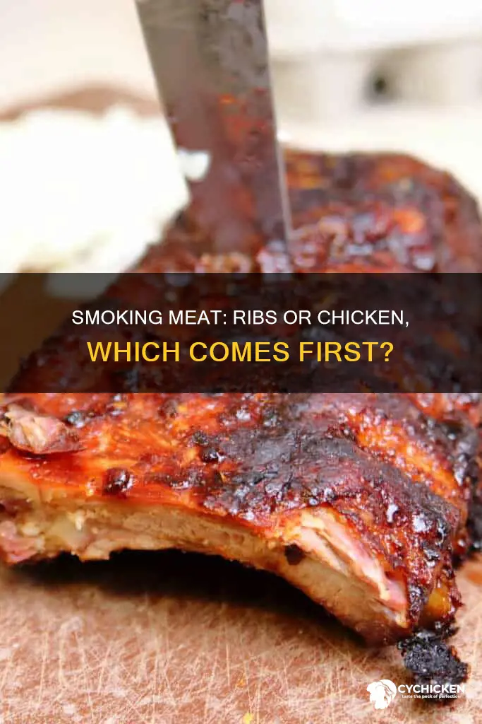 should ribs be above chicken on an electric smoker
