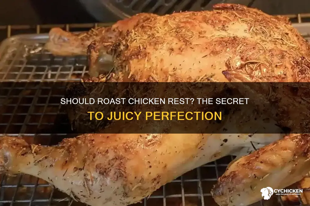 should roast chicken rest