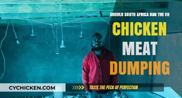 South Africa: Ban EU Chicken Meat Dumping?