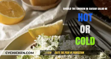 The Great Debate: Hot or Cold Chicken in Caesar Salad?