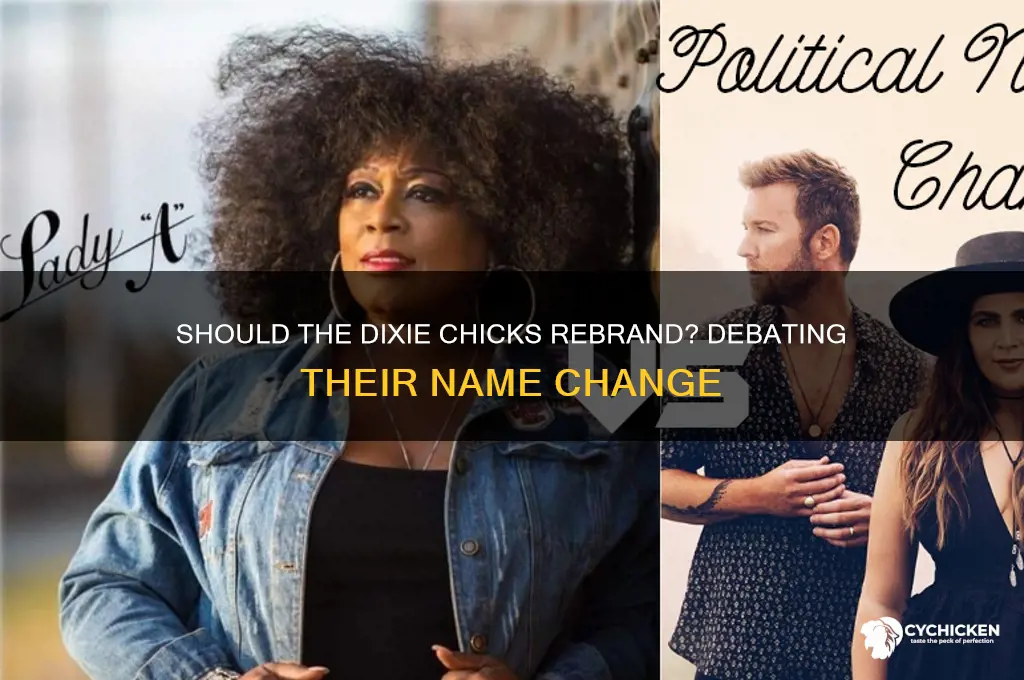 should the dixie chicks change their name