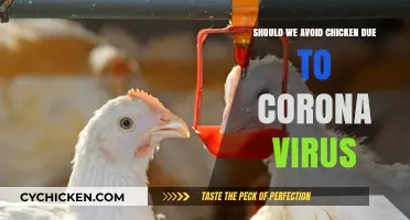 Is Chicken Safe to Eat During the Coronavirus Pandemic?