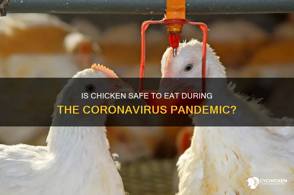 should we avoid chicken due to corona virus
