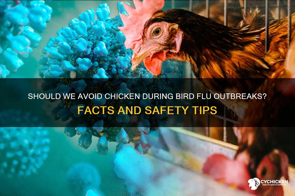 should we avoid chicken during bird flu